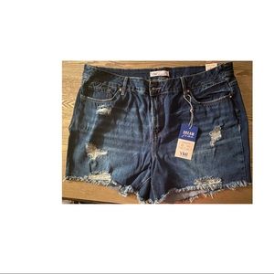 YMI High Rise Shorts